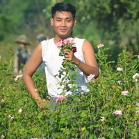 original sound - Mg Zaw