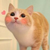 feelthelove44