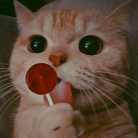 เสียงต้นฉบับ - JellyJellys