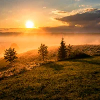 original sound - pdnaja