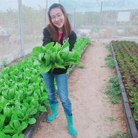 saonoifarm