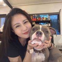 bullymina_feibao