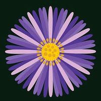 original sound - Aster Elfourteen