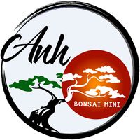 nhạc nền - Nhật Anh - Bonsai Mini BMT