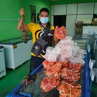 dsemeling_frozen_seafood