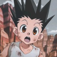 gon.opbr