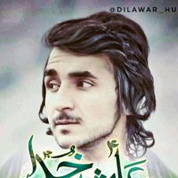 abbasedilawar110