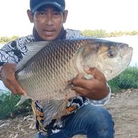misterkimfishing