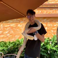 original sound - celanaberdiri