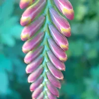 original sound - 11sunshine69