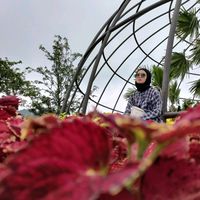 suara asli - arar
