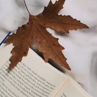 suara asli - Nasehathati 🍁