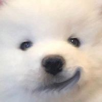wrrdw_