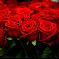 original sound - @devi_devi