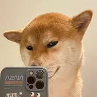 我爱你不问归期