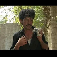 original sound - userwafasunny786