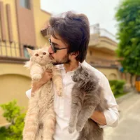 original sound - nenii.abbasii