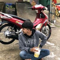 npjp1