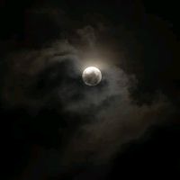 original sound - RushFlix