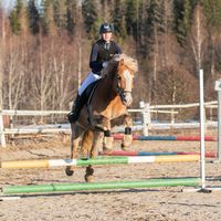 p0nien_matkassa