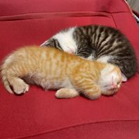 willie_and_winnie
