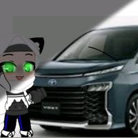 irdinaizali