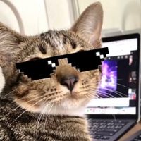ollychampagnepapi