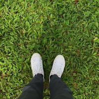 sukasukayyp