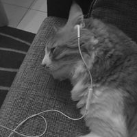 เสียงต้นฉบับ - •เพลงตามอารมณ์•