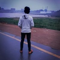 spidex568