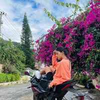 brown06399