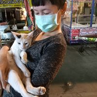 napaporncat