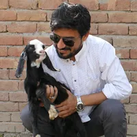 original sound - waqashabibkhanzad