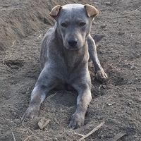 原聲 - 益 IG: p01_11q