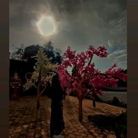 suara asli - نر موحىيببة🌻