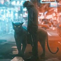 m_razayyy48__
