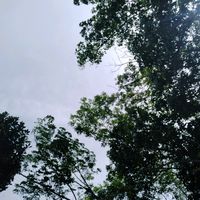 original sound - randomperson