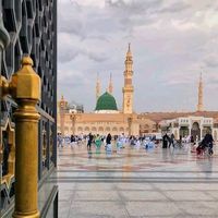 asgharmallah20