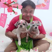 original sound - ae_x_max300