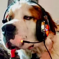 original sound - lhia.animals