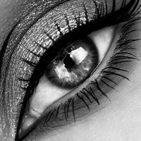 ammara_goldenlines