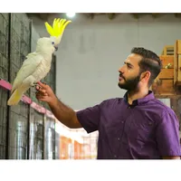 original sound - waleed_raza110