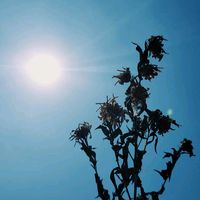 nhạc nền - Câu chuyện của chúng ta