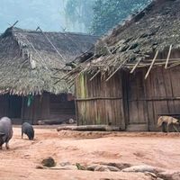 เสียงต้นฉบับ - tus koj khuv xim 😊😉