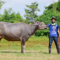 original sound - aum_aunpun_