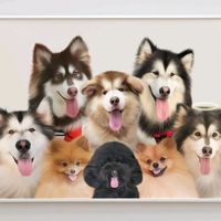 montykairoskingkanebj