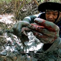 original sound - TheHunters onli in oksi