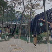 rachelname