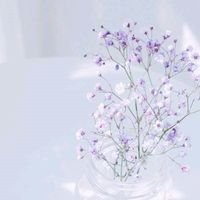 原聲 - 小青蛇愛紅蘋果