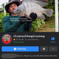 fishfarming895